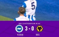 布莱顿3-0狼队，欣谢尔伍德、邓克闪击，明特破门